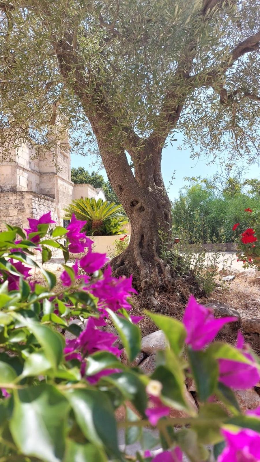 Trulli Aurasia Остуни Экстерьер фото