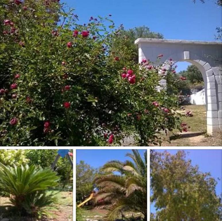 Trulli Aurasia Остуни Экстерьер фото