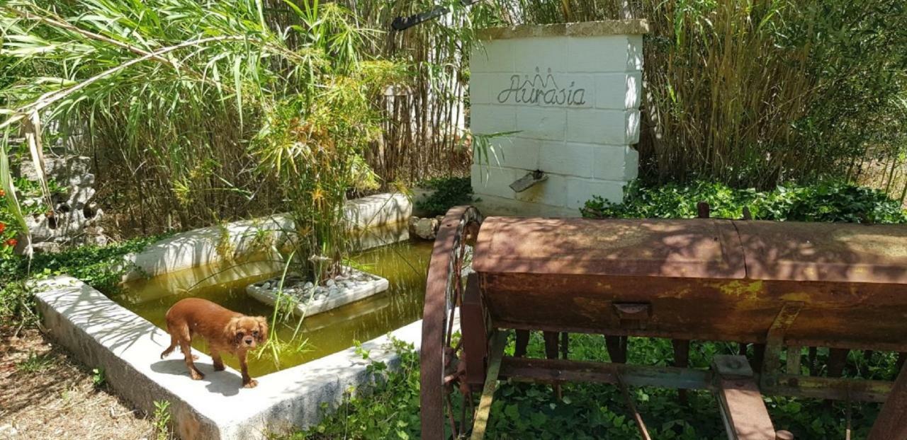 Trulli Aurasia Остуни Экстерьер фото